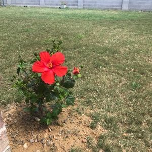 Meet your Posher, Isabel